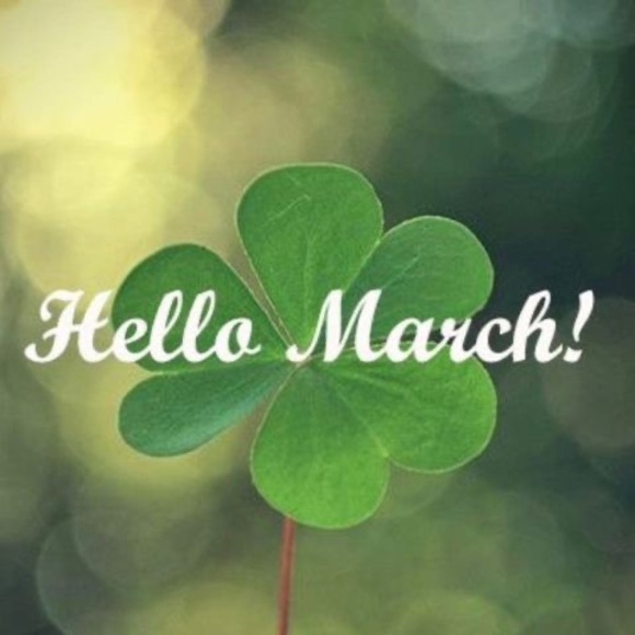 Meet your Posher, Donna - Picture 1 of 1